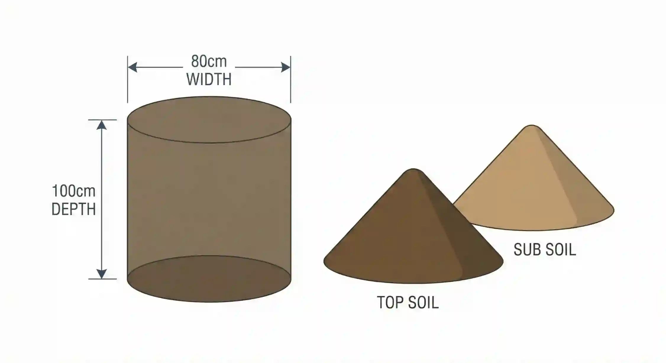 ابعاد استاندارد و عمق چاله مناسب برای کاشت نهال گردو.
