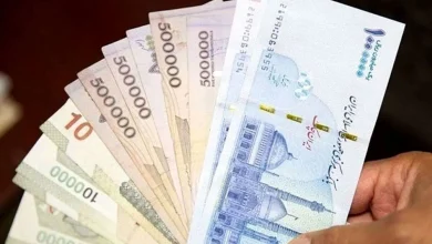 سیر تا پیاز یارانه ۷۰۰ هزار تومانی / پولی که برای یک کیلو گوشت هم کافی نیست!