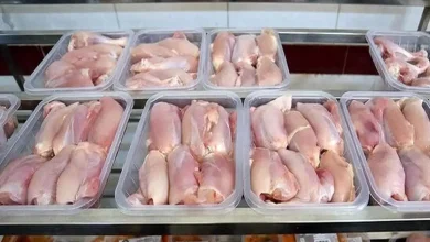 قیمت جدید مرغ و تخم مرغ با حذف ارز ۲۸۵۰۰ تومانی / آماده باشید