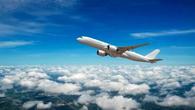 اتفاق ناگوار در آسمان ایران / پروازها به طرز عجیبی کم شد